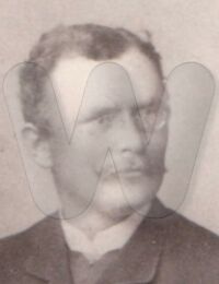 Albert Sietz 1888